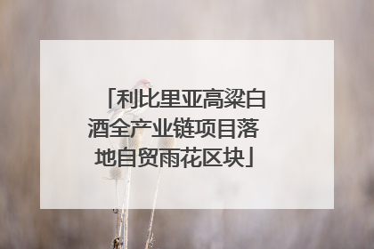 利比里亚高粱白酒全产业链项目落地自贸雨花区块